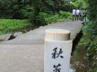 IMG 0090