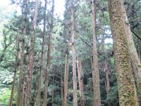 IMG 0096
