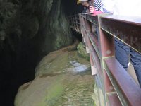 IMG 0106