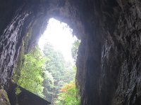IMG 0110