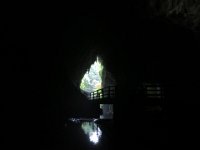 IMG 0116