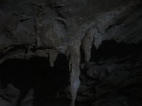 IMG 0127