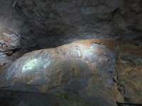 IMG 0132