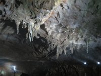 IMG 0140