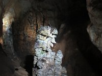 IMG 0155