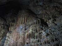 IMG 0157