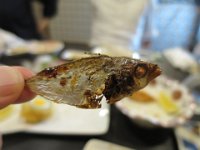 IMG 0217