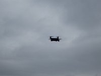 IMG 1783