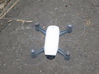 IMG 1785