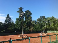 IMG 3691