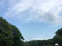 IMG 3698