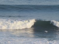 IMG 2541