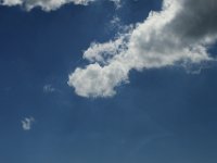 IMG 4823