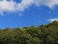 IMG 4839