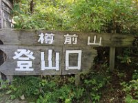 IMG 4841