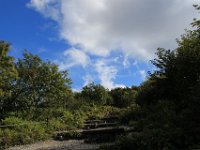 IMG 4858