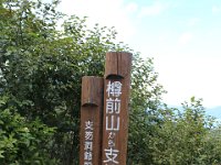 IMG 4874