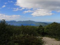 IMG 4879