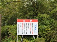 IMG 4885