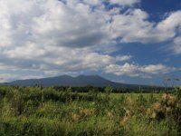 IMG 4888