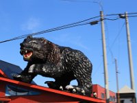 IMG 4898
