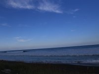 IMG 4900