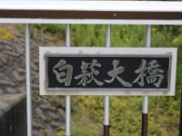 IMG 4938