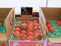 IMG 4946