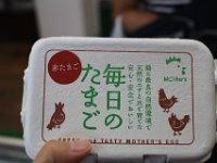 IMG 4955