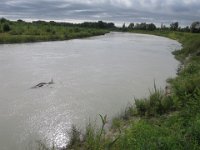 IMG 3077