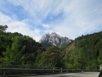 IMG 3350