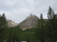 IMG 3481