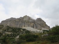IMG 3501