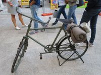 IMG 3555
