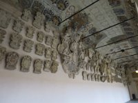 IMG 3692