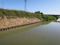 IMG 3858