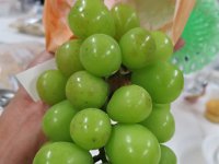 IMG 4334