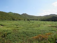 ニセコ大谷地