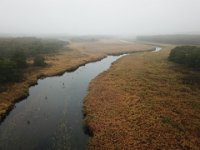 DJI 0005  0.9.143 : N