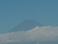 IMG 0222