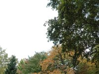 IMG 0285