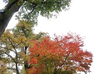 IMG 0289