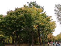 IMG 0291