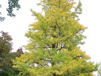 IMG 0300