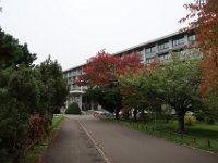 IMG 0311