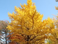 IMG 0836