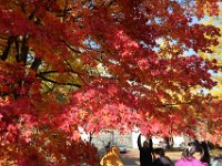 IMG 0839