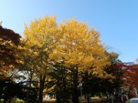 IMG 0867