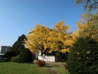 IMG 0873