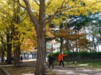 DSC00350
